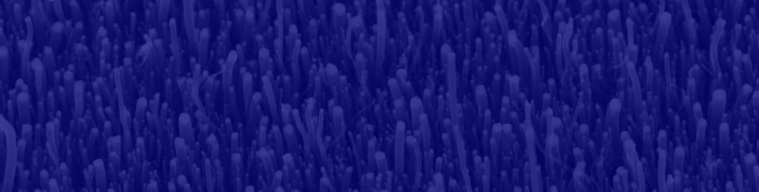 Blue scale photo of tubular underwater organisms